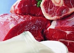 На рынках запретили продажу домашнего мяса