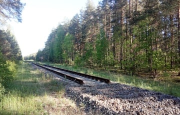 Под Гродно демонтируют железнодорожные пути, ведущие в Литву