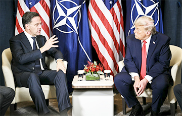 Появились детали разговора Трампа и Рютте