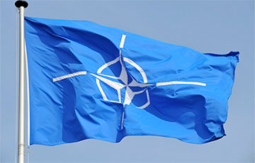 Politico: Заявка Украины на вступление в НАТО стала неожиданностью