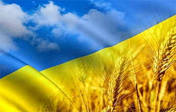 Германия поможет Украине экспортировать зерно