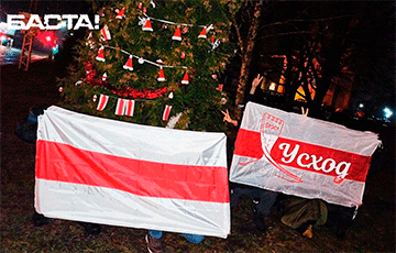 Белорусы продолжают поздравлять друг друга с Новым годом Зубра