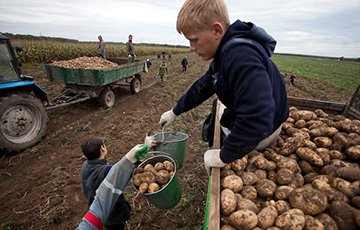 Профсоюз РЭП: Мы требуем отменить детский труд в Беларуси