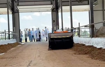 Лукашисты показали «нанотехнологию» в беларусском коровнике