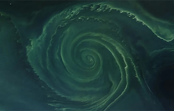 На фото показали спираль цветения в Балтийском море