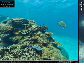 В Сети опубликуют подводные панорамы Большого Барьерного рифа