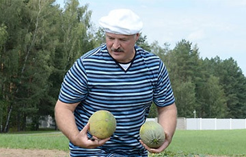 Что Лукашенко в Беларуси посеял и что пожнет?