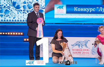 Щенок редкой для Беларуси породы собак победил на международном дог-шоу