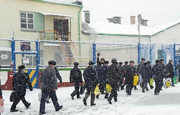 Второго за два месяца московита отправили в колонию за призыв повесить Путина