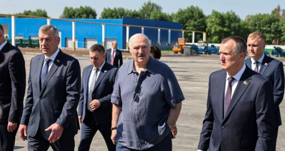 Лукашенко приказал переводить Беларусь на отопление пеллетами