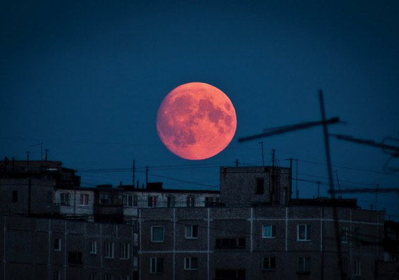 Вечером 7 августа белорусы смогут наблюдать «кровавую луну»