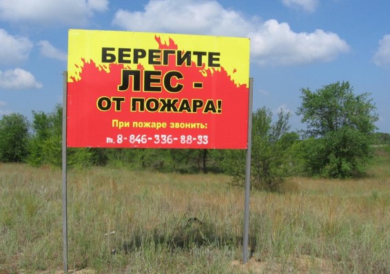 В Беларуси может повыситься уровень пожарной безопасности в лесах