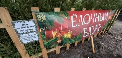 Где можно купить новогоднюю елку рядом с домом?
