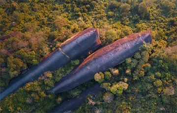 Как левиафаны оказались в лесах Таиланда