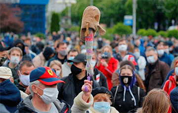 «Стоп таракан!»: расписание пикетов в городах Беларуси