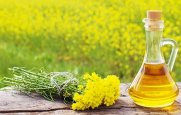 В Беларуси разработали необычное рапсовое масло