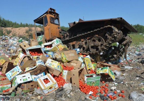 В 2016 году Россия уничтожила 600 тонн сомнительных овощей и фруктов из Беларуси