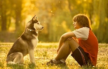 Исследование показало, что стиль воспитания собаки влияет на ее поведение