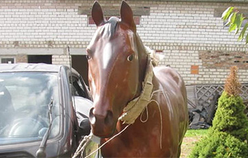 Беларус продает искусственную лошадь в натуральную величину
