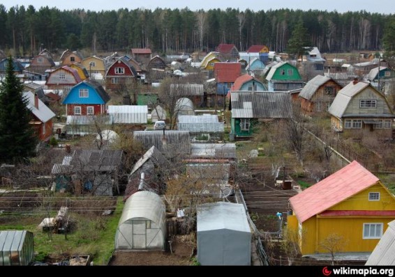 В Беларуси планируется скорректировать законодательство о садоводческих товариществах