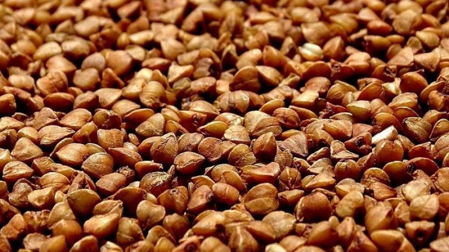 Из Беларуси запретили вывозить пшеничную муку и гречку