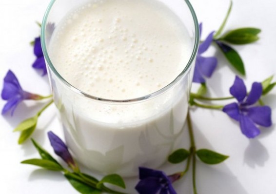 Беларусь увеличила экспорт йогурта, кефира и пахты на 11,5 процентов