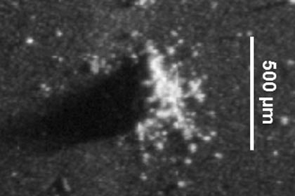Rosetta нашла на комете частицы межпланетной пыли