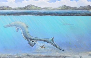 В США нашли новый вид морского динозавра