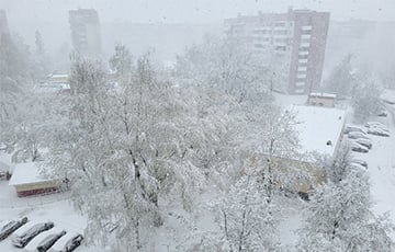 В Беларуси снова выпал снег