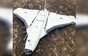 В Украине сбили необычный московитский БПЛА «Гербера»