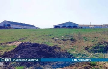 Директор сельхозпредприятия в Глубокском районе скрыл гибель почти 750 коров